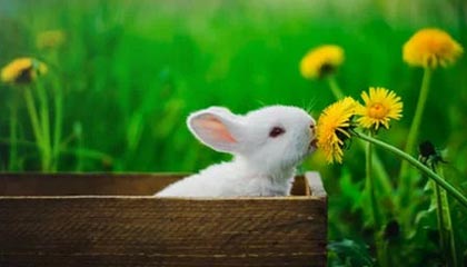 沙巴体育-星空体育首页，点亮你的运动新生活